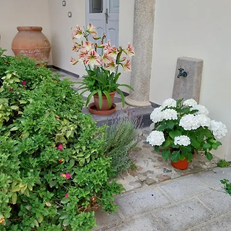 Mostallino * Assemini