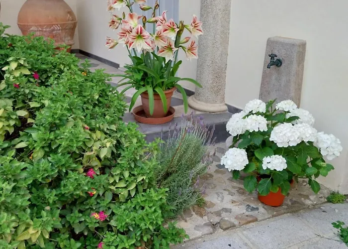 Mostallino * Assemini